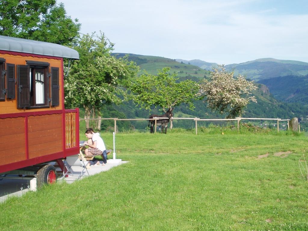 Affittacamere Domaine De La Chaux De Revel Saint-Martin-Valmeroux Esterno foto